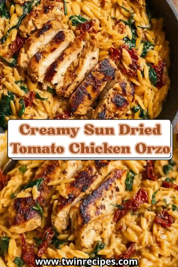 One-pan creamy chicken orzo with garlic, sun-dried tomatoes, and basil.