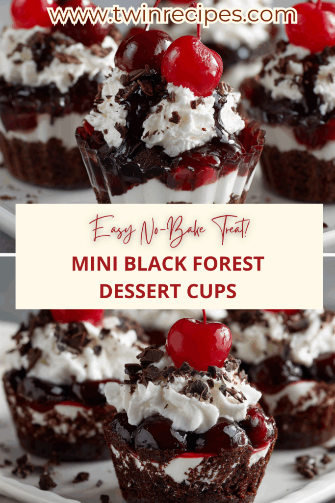 Mini Black Forest Dessert Cups layered with chocolate cake, whipped cream, and cherries, creating an easy no-bake dessert perfect for parties and holidays.