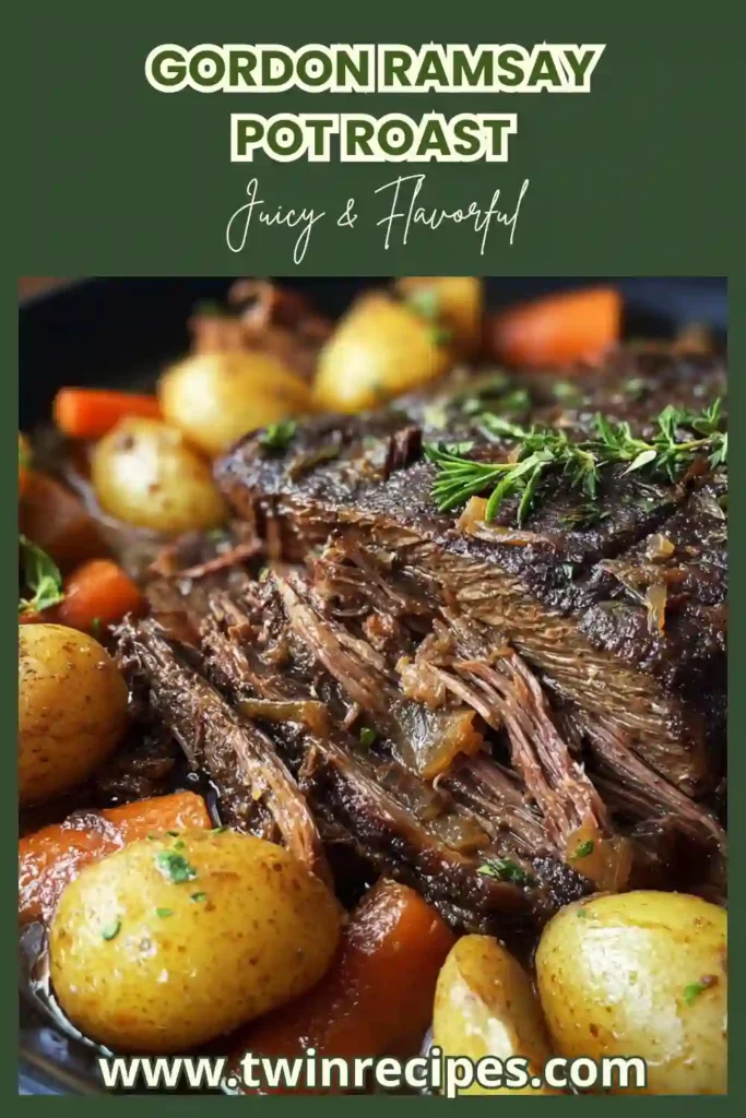 Tender pot roast slices in red wine sauce